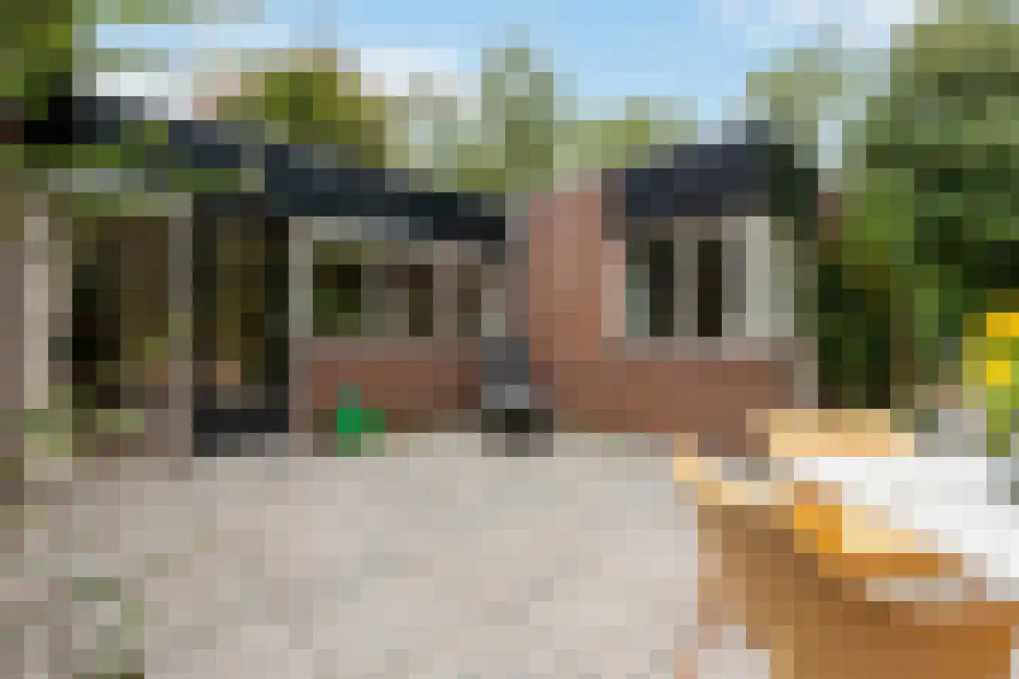 Poolvos 57 Huizen thumbnail 27