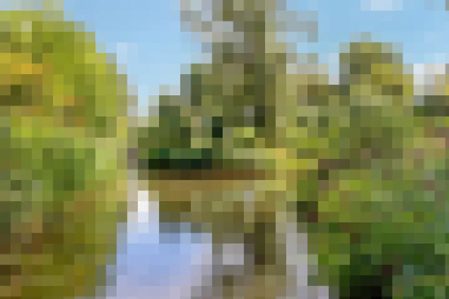 Poolvos 57 Huizen thumbnail 30