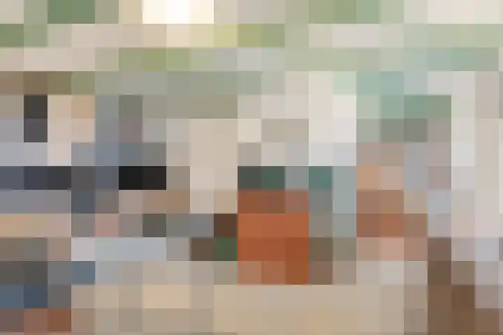 Poonhaven 7 Zaamslag thumbnail 14