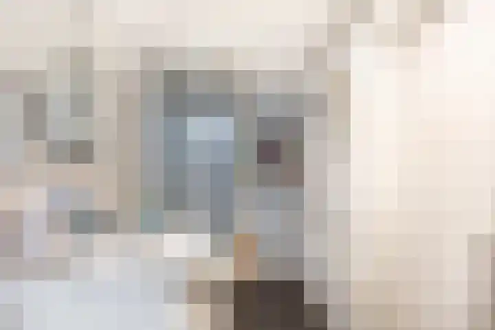 Poonhaven 7 Zaamslag thumbnail 15