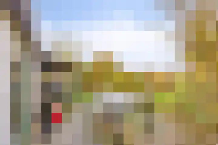 Poonhaven 7 Zaamslag thumbnail 21