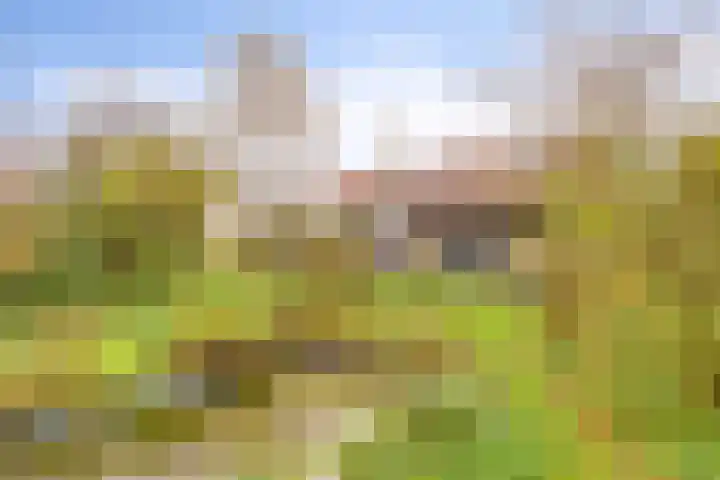 Poonhaven 7 Zaamslag thumbnail 22