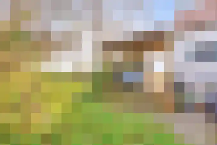 Poonhaven 7 Zaamslag thumbnail 23
