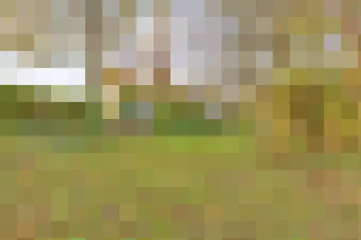 Poonhaven 7 Zaamslag thumbnail 24