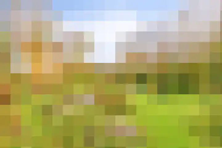 Poonhaven 7 Zaamslag thumbnail 25
