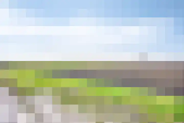 Poonhaven 7 Zaamslag thumbnail 26