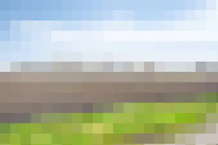 Poonhaven 7 Zaamslag thumbnail 27