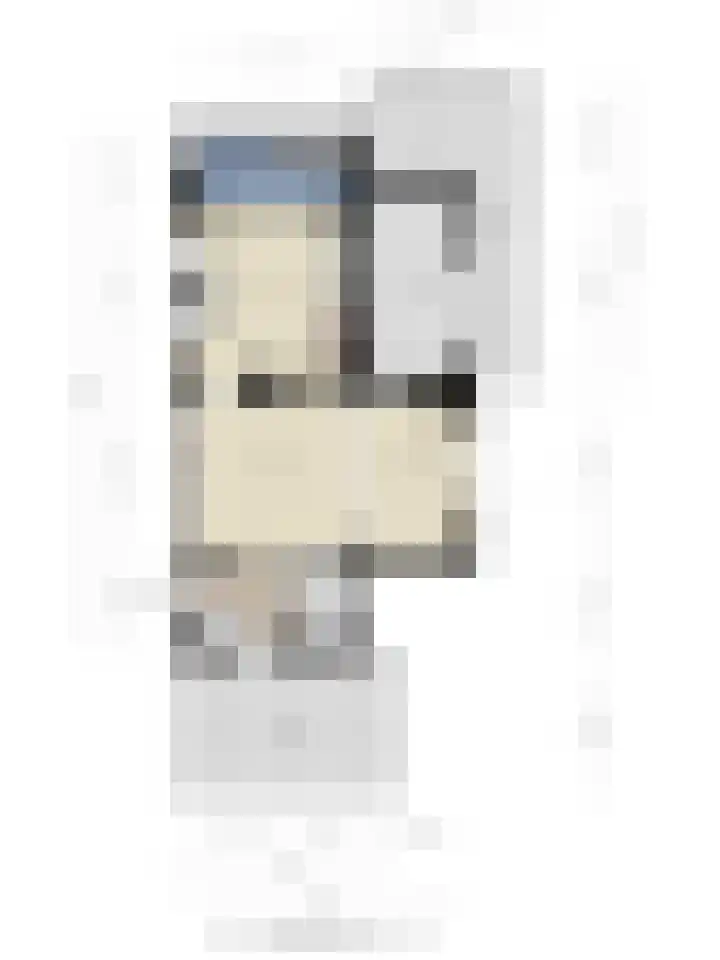 Poonhaven 7 Zaamslag thumbnail 28