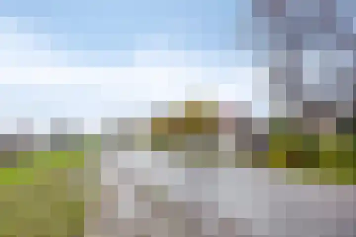 Poonhaven 7 Zaamslag thumbnail 7
