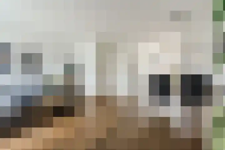 Poort 16 Geldrop thumbnail 10