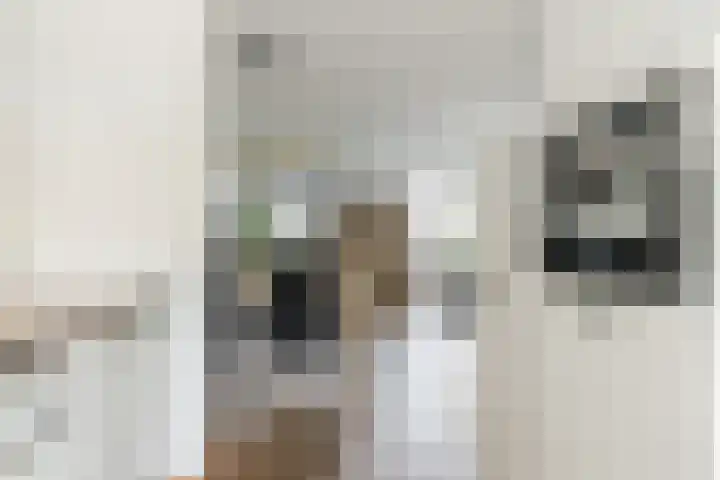 Poort 16 Geldrop thumbnail 15