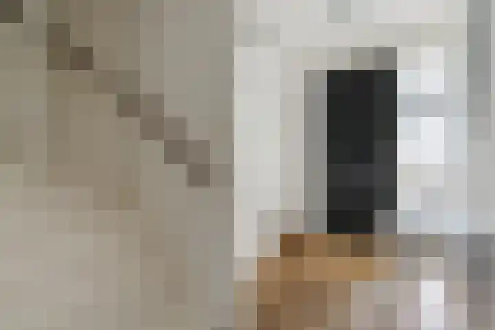 Poort 16 Geldrop thumbnail 16