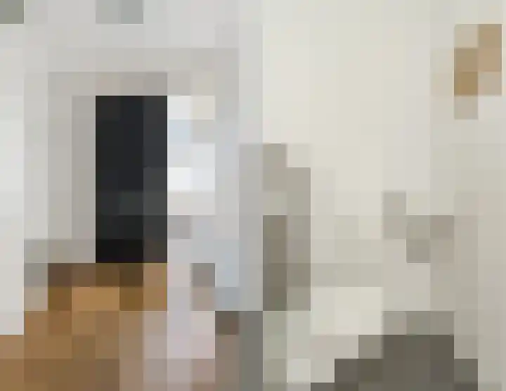 Poort 16 Geldrop thumbnail 19