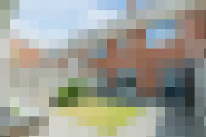 Poort 16 Geldrop thumbnail 4