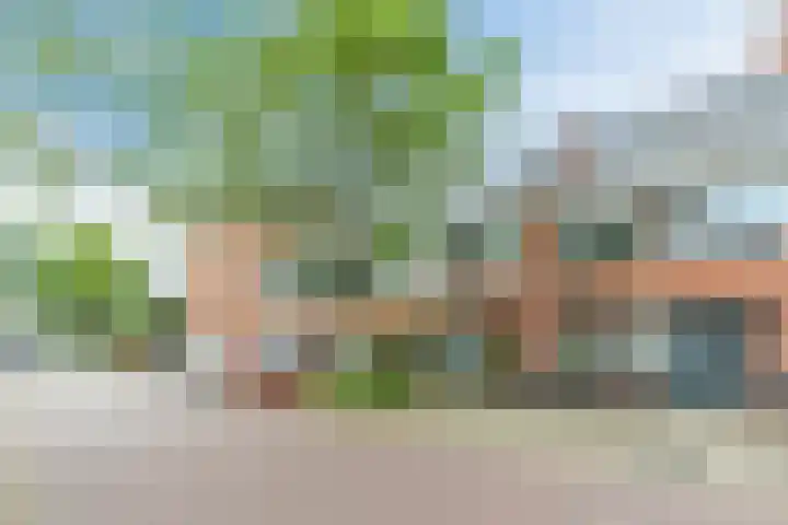 Poort 16 Geldrop thumbnail 5
