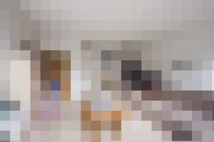 Poort 3 Geldrop thumbnail 10