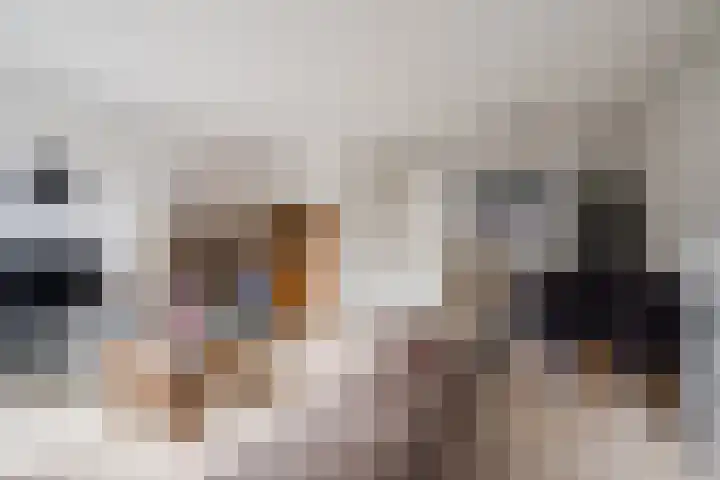 Poort 3 Geldrop thumbnail 11