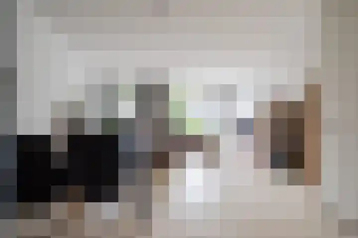Poort 3 Geldrop thumbnail 12