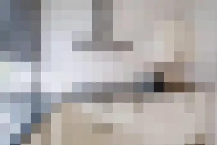 Poort 3 Geldrop thumbnail 13