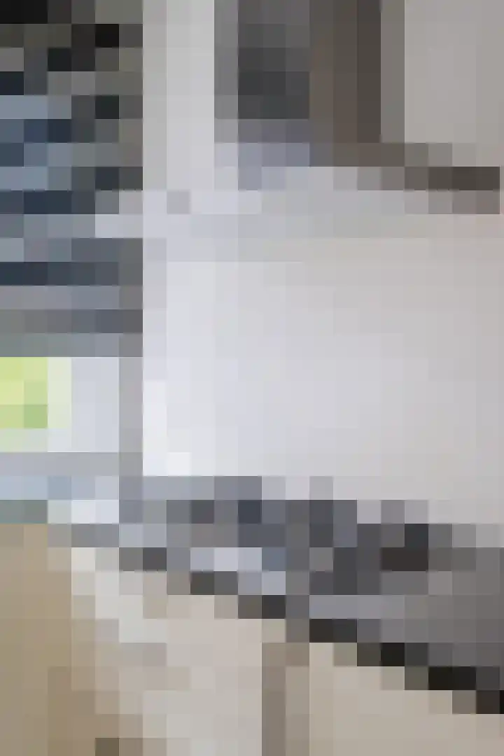 Poort 3 Geldrop thumbnail 14