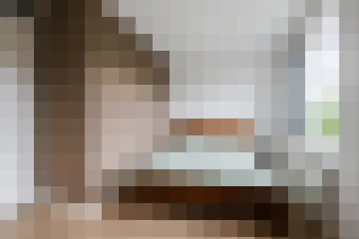 Poort 3 Geldrop thumbnail 16