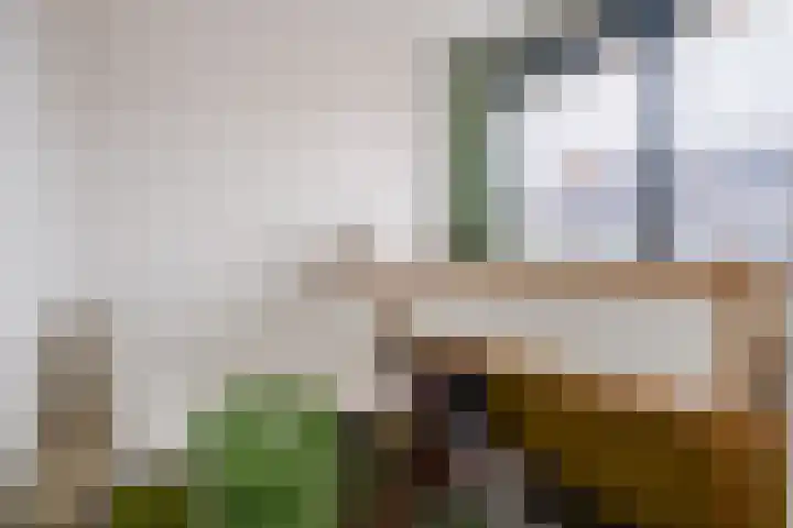 Poort 3 Geldrop thumbnail 20