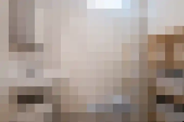 Poort 3 Geldrop thumbnail 22