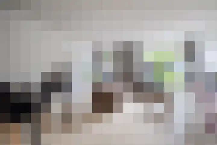 Poort 3 Geldrop foto 3