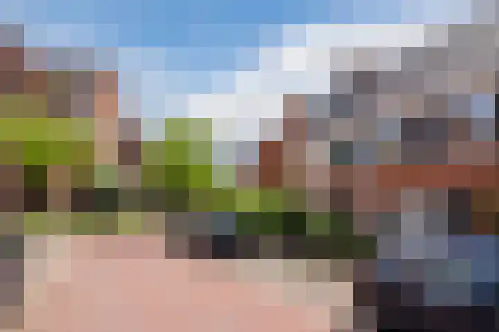 Poort 3 Geldrop thumbnail 30