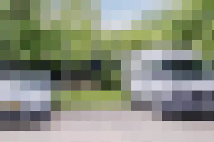 Poort 3 Geldrop thumbnail 32
