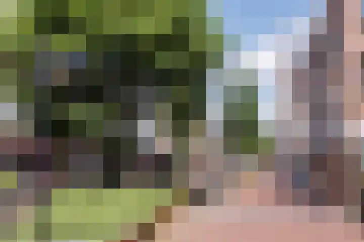 Poort 3 Geldrop thumbnail 33