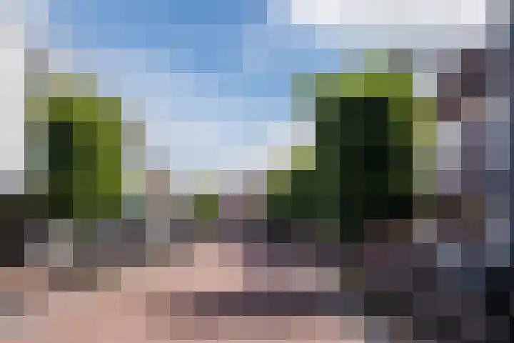 Poort 3 Geldrop thumbnail 34