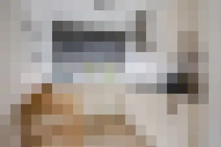 Poort 3 Geldrop thumbnail 4