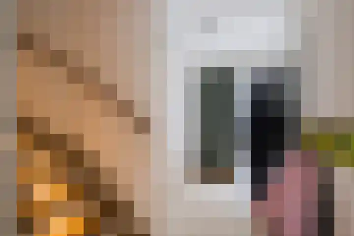 Poort 3 Geldrop thumbnail 7