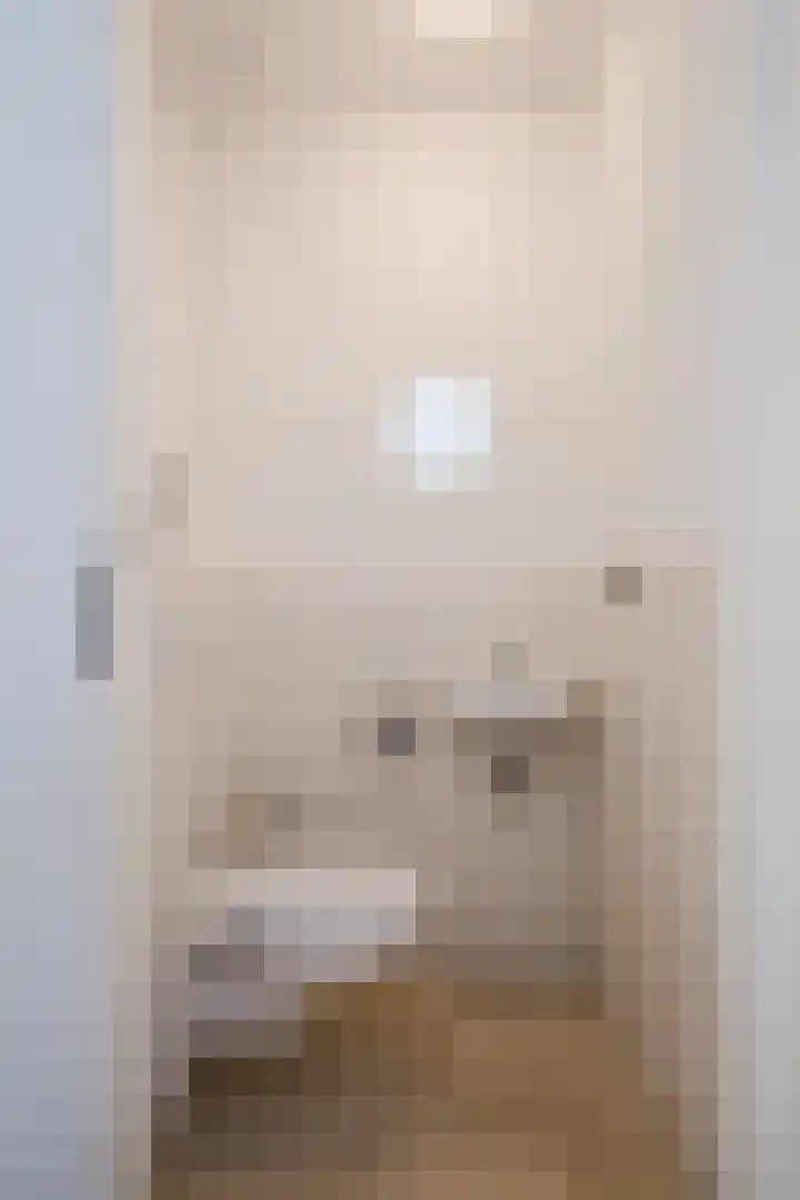 Poort 3 Geldrop thumbnail 8