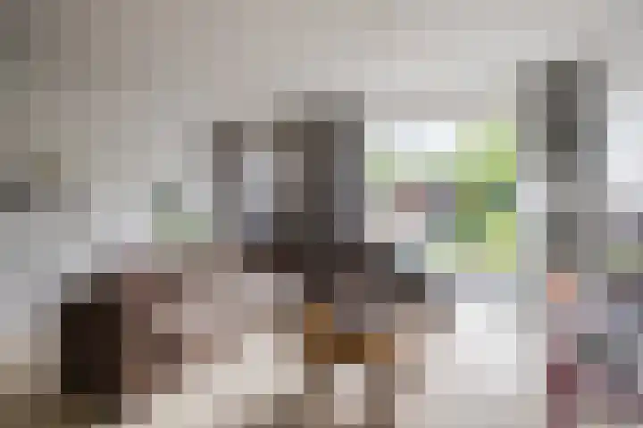 Poort 3 Geldrop thumbnail 9