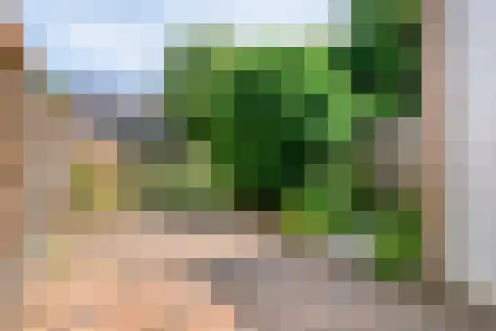 Poortakker 19 Breda thumbnail 17