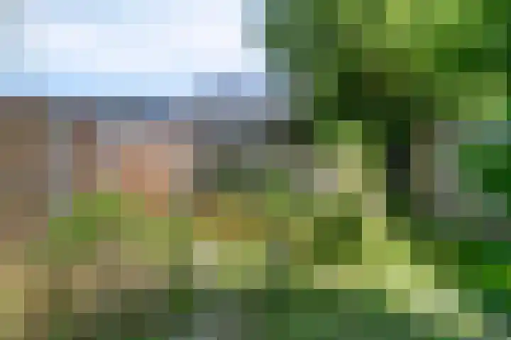 Poortakker 19 Breda thumbnail 18