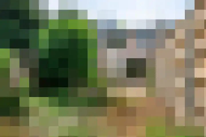 Poortakker 19 Breda thumbnail 19