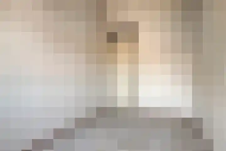 Poortakker 19 Breda thumbnail 27