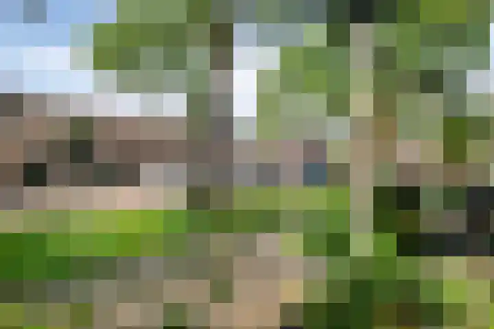 Poortakker 19 Breda thumbnail 33