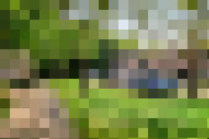 Poortakker 19 Breda thumbnail 34