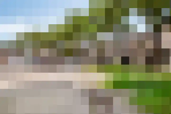 Poortakker 19 Breda thumbnail 35