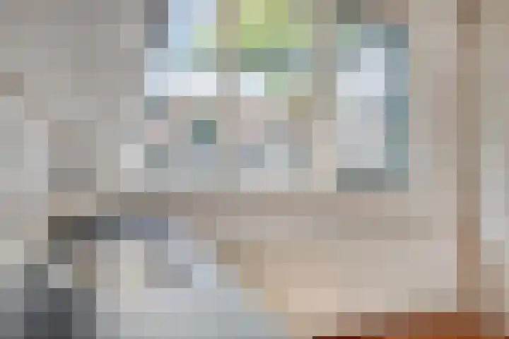 Poortakker 19 Breda thumbnail 8