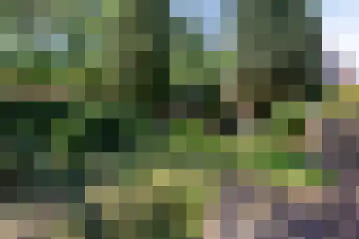 Poortdijk 22 IJsselstein thumbnail 53