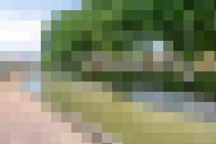 Poortdijk 22 IJsselstein thumbnail 62