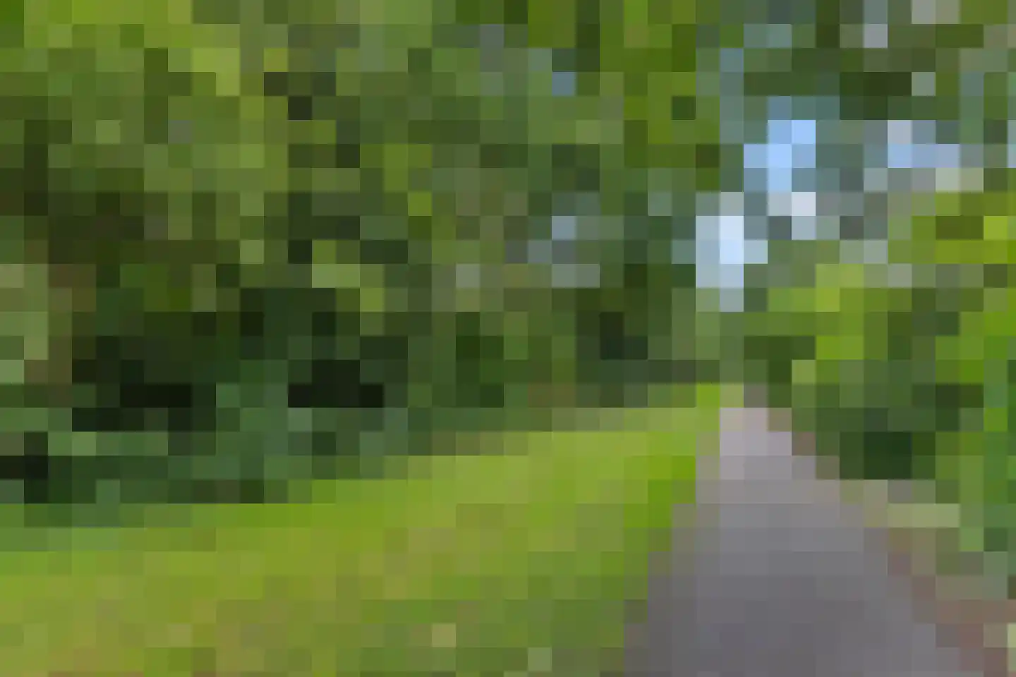 Poortenaarlaan 90 A Nieuwegein thumbnail 20