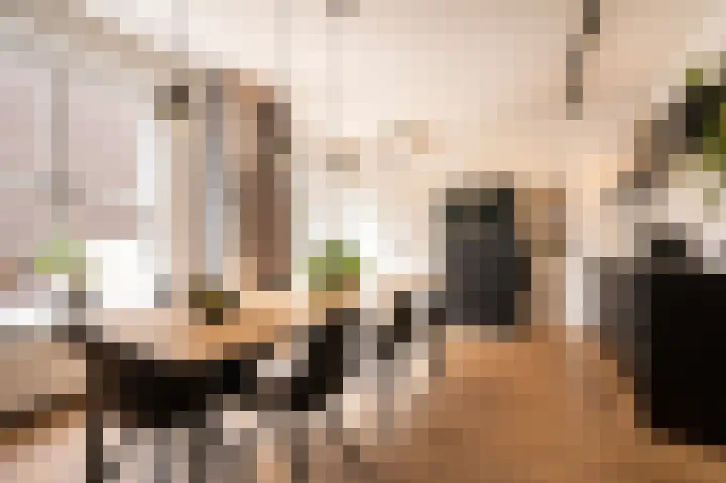 Poorterij 1 b Leerdam thumbnail 16