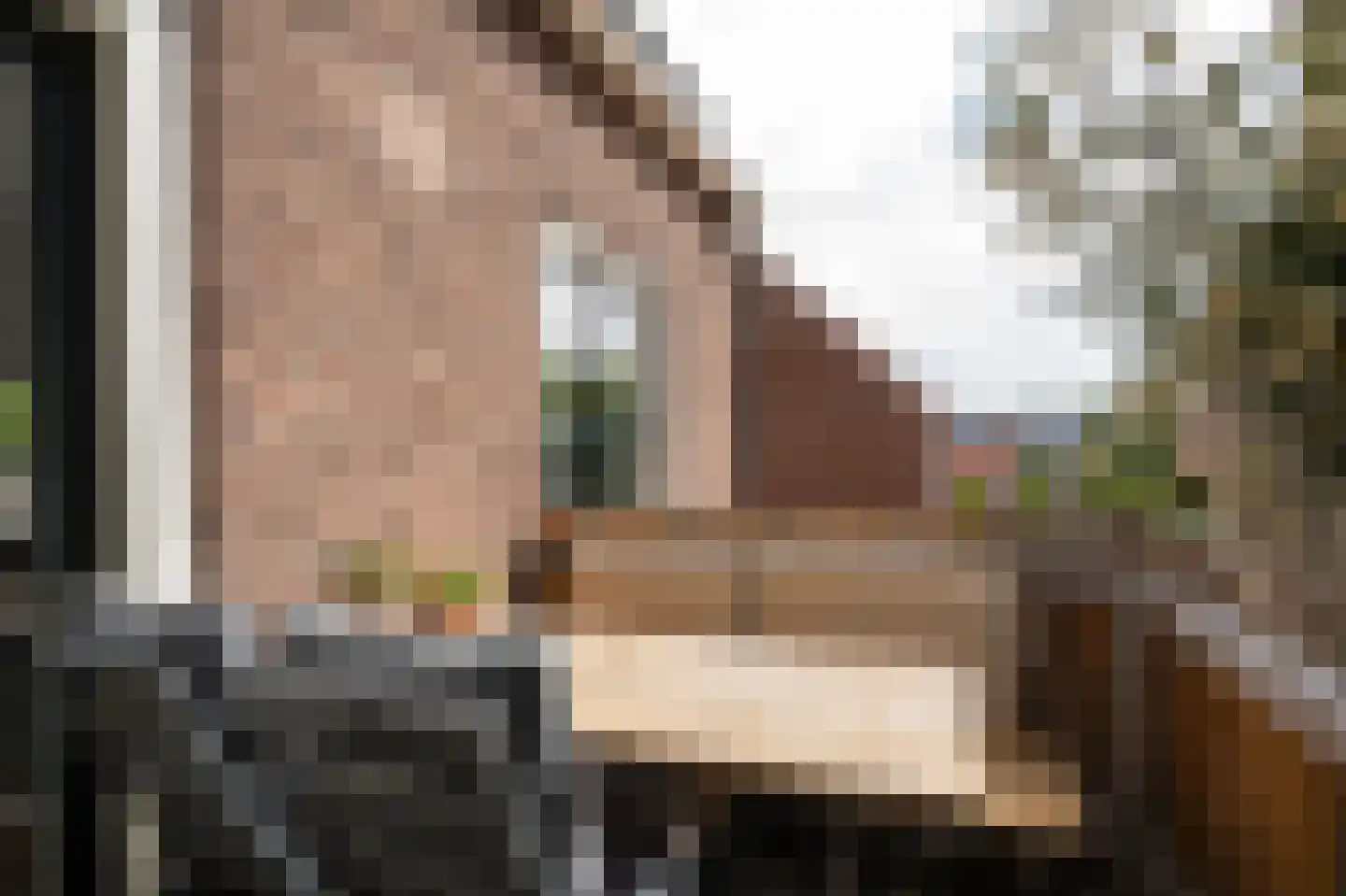 Poorterij 1 b Leerdam thumbnail 18