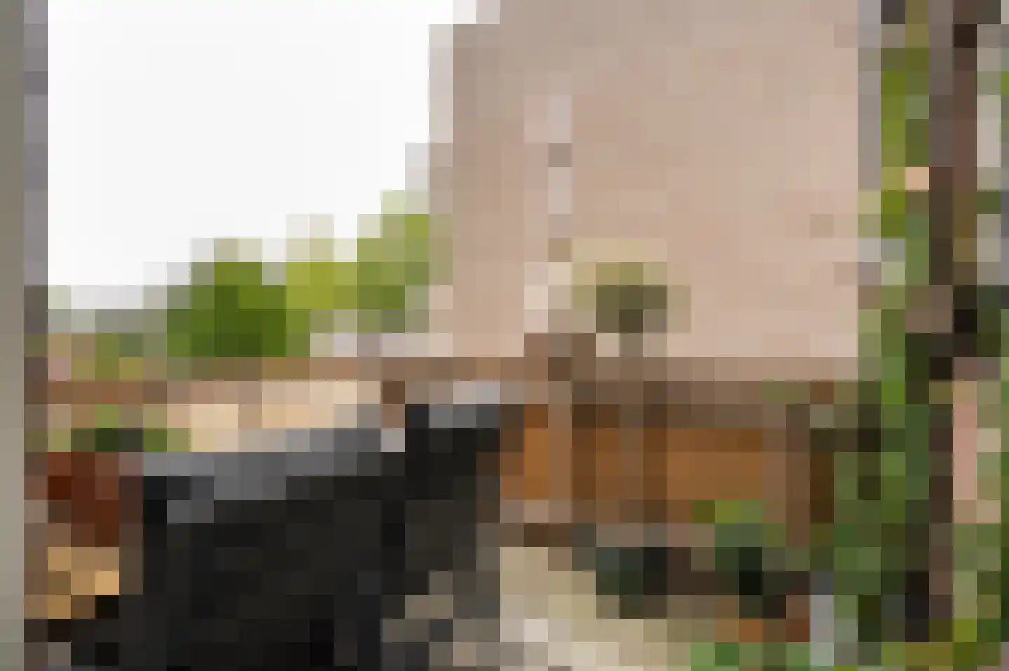 Poorterij 1 b Leerdam thumbnail 19